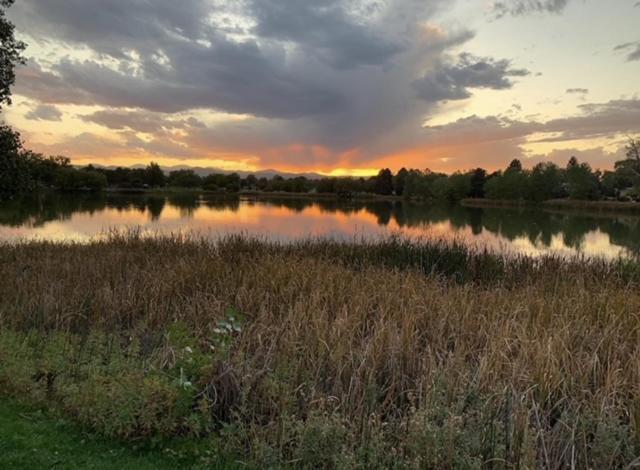Beautiful Denver Carriage House エクステリア 写真